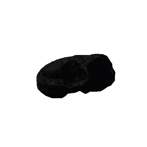 rockSnailFossil