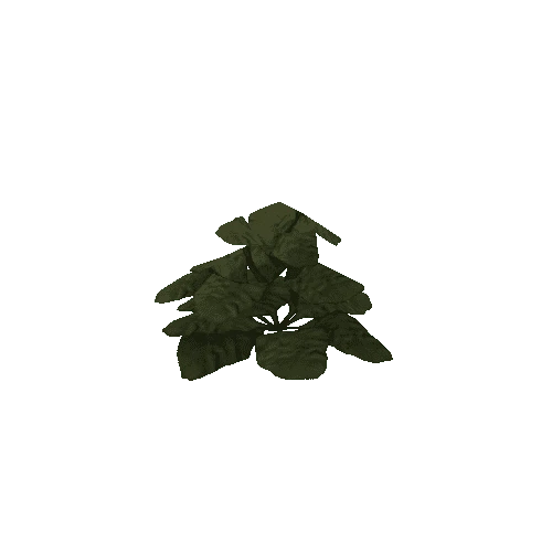 weedBigLeaf