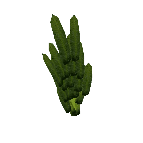 PA_CoralSetFeatherSeaweedWall