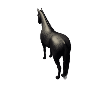 Horse_Black_High