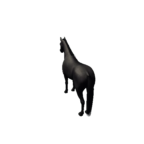 Horse_Black_High