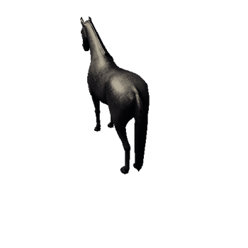 Horse_Black_Low