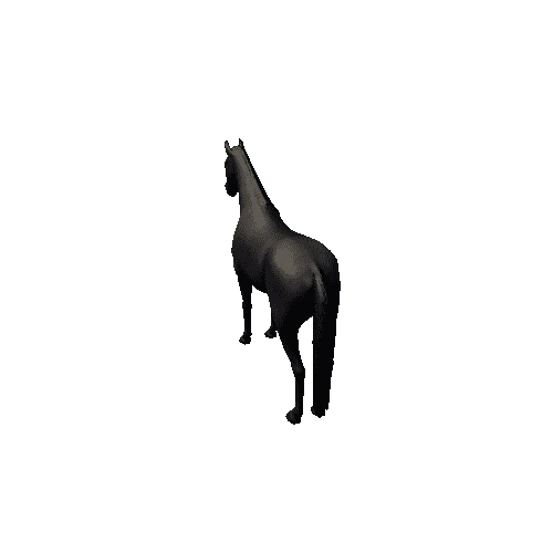 Horse_Black_Low