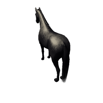 Horse_Black_Med