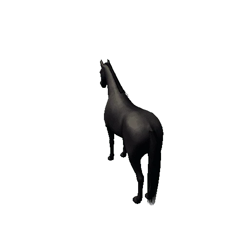 Horse_Black_Med