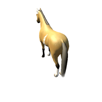 Horse_Buck_High