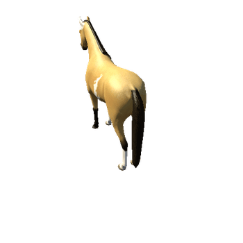 Horse_Buck_Low