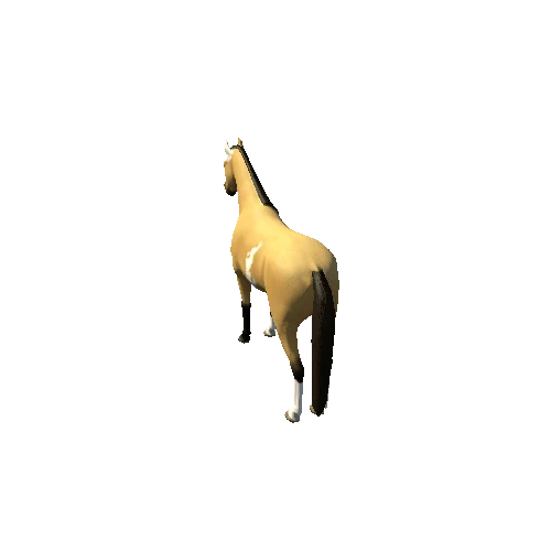 Horse_Buck_Low