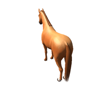 Horse_Ches_High