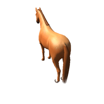 Horse_Ches_Med