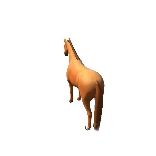 Horse_Ches_Med