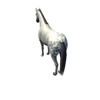 Horse_Grey_High