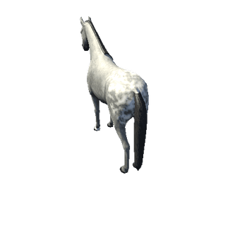 Horse_Grey_Low