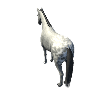 Horse_Grey_Med