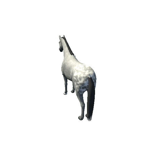 Horse_Grey_Med