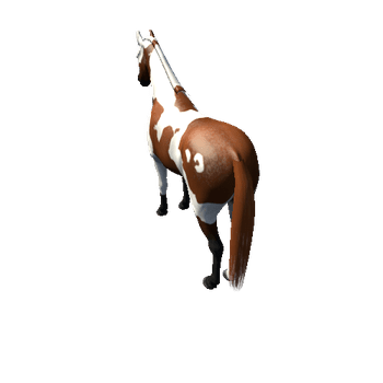 Horse_Paint_High