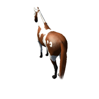 Horse_Paint_Med