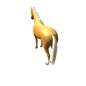 Horse_Palo_High
