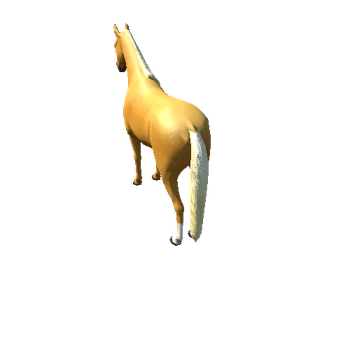 Horse_Palo_Low