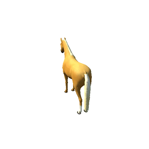 Horse_Palo_Low