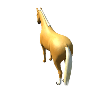 Horse_Palo_Med