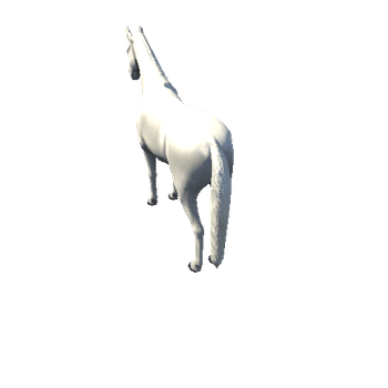 Horse_White_Low