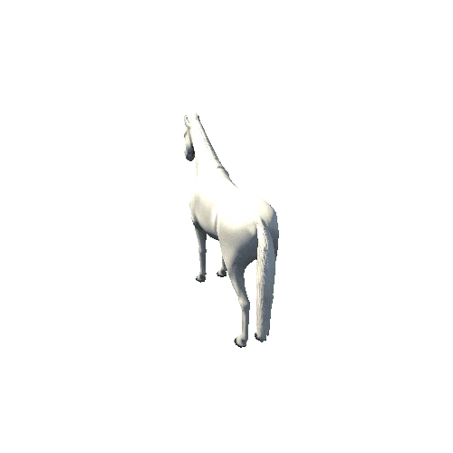 Horse_White_Low