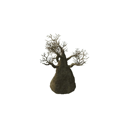 Baobab_Tree_01_Kalahari