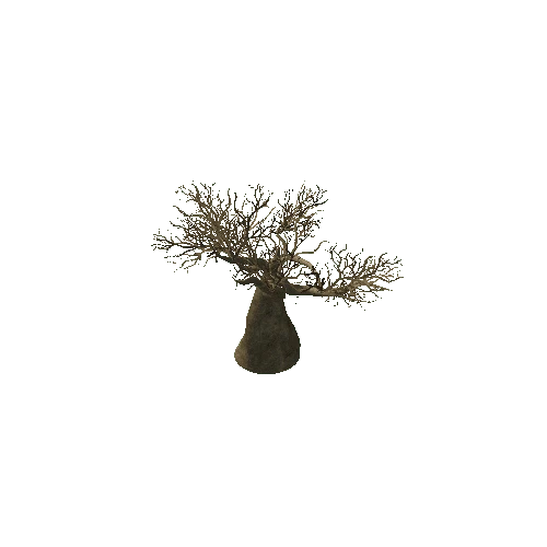 Baobab_Tree_02_Kalahari