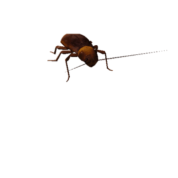 cockroach_anim_fbx_Prefab