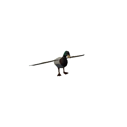 duck_anim_fbx_Prefab