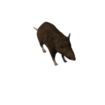 rat_anim_fbx_Prefab