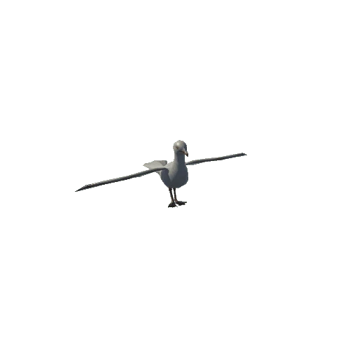 seagul_anim_fbx_Prefab