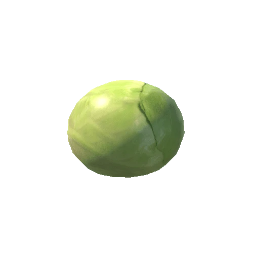 SM_Cabbage_01