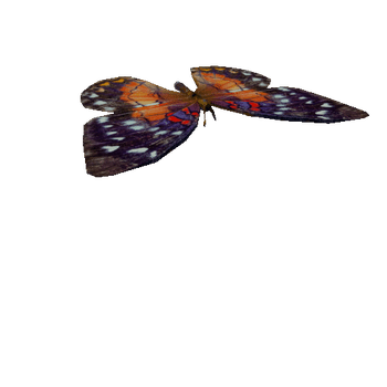 butterfly_anim_fbx_Prefab