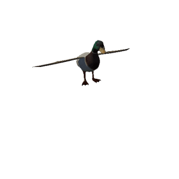 duck_anim_fbx_Prefab