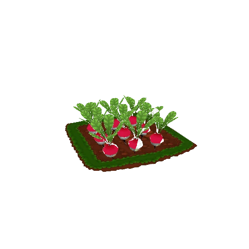 Radish_Field