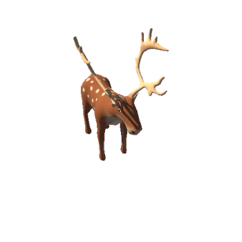 Reindeer