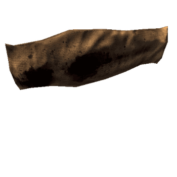 body_bag1_brown_blood