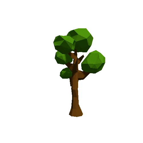 co_Tree01
