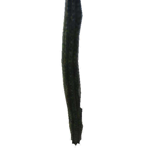 Model_Cactus_LargeCollider