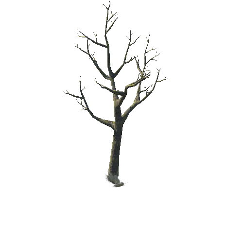 Model_Tree_13