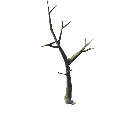 Model_Tree_15