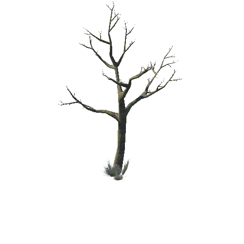 Model_Tree_16