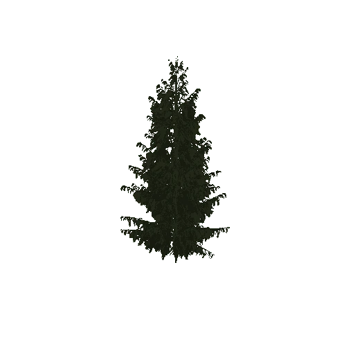 tree1