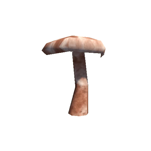 MushRoom_3