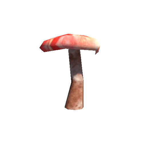 MushRoom_4