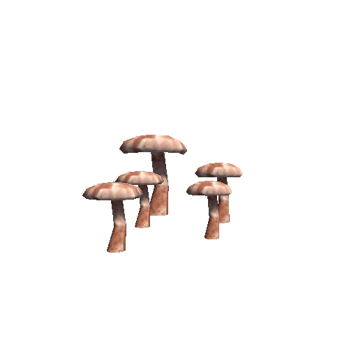 MushRoom_Group_3