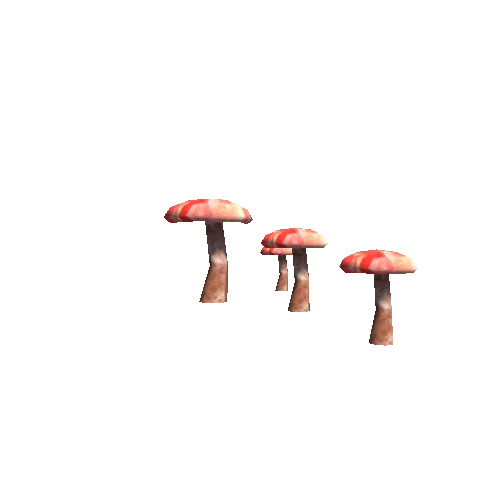 MushRoom_Group_4