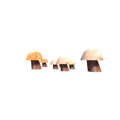 Mushroom_Group_1